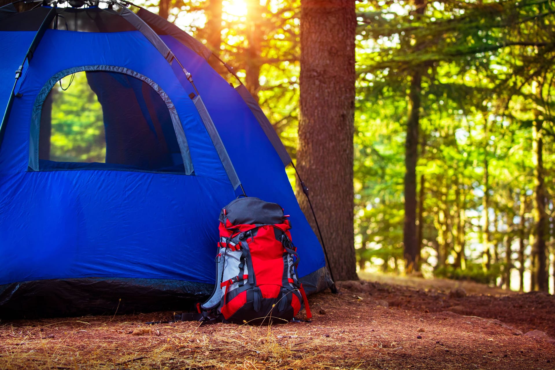 Ein Zelt im Wald (Symbolbild): Die Camps wurden dem Kirchenkreis zufolge öfter organisiert.