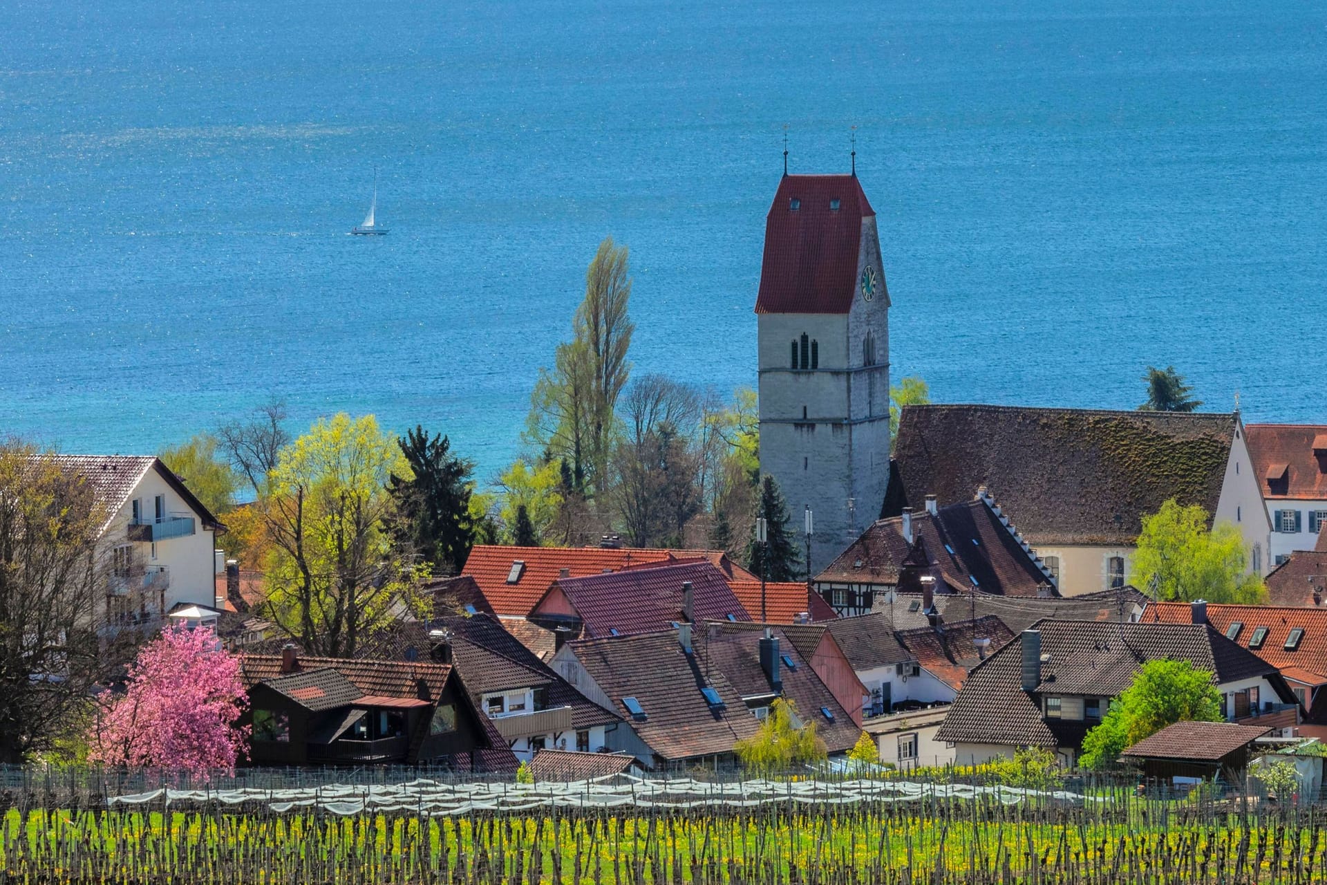 Klare Sicht: Bei gutem Wetter reicht der Blick von Hagnau aus über den Bodensee bis zu den Alpen.