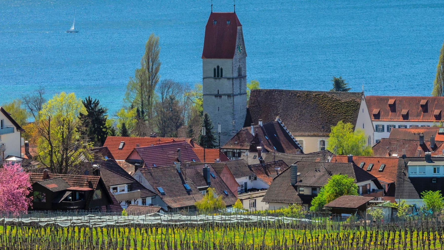 DeutschlandUrlaub Dieser Ort am Bodensee ist ein Geheimtipp
