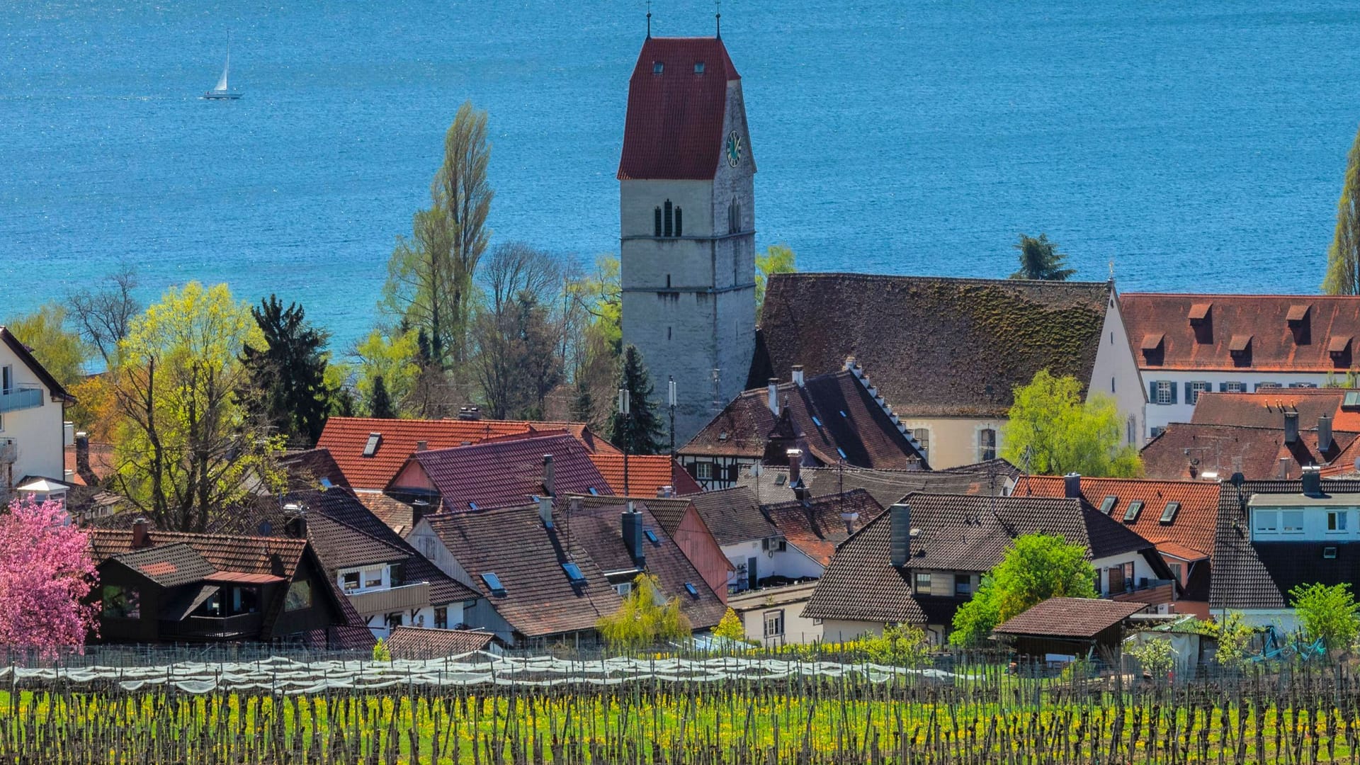 Klare Sicht: Bei gutem Wetter reicht der Blick von Hagnau aus über den Bodensee bis zu den Alpen.