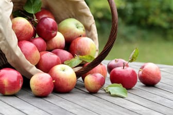 Erntezeit: An einigen Stellen können Sie Äpfel kostenlos pflücken.