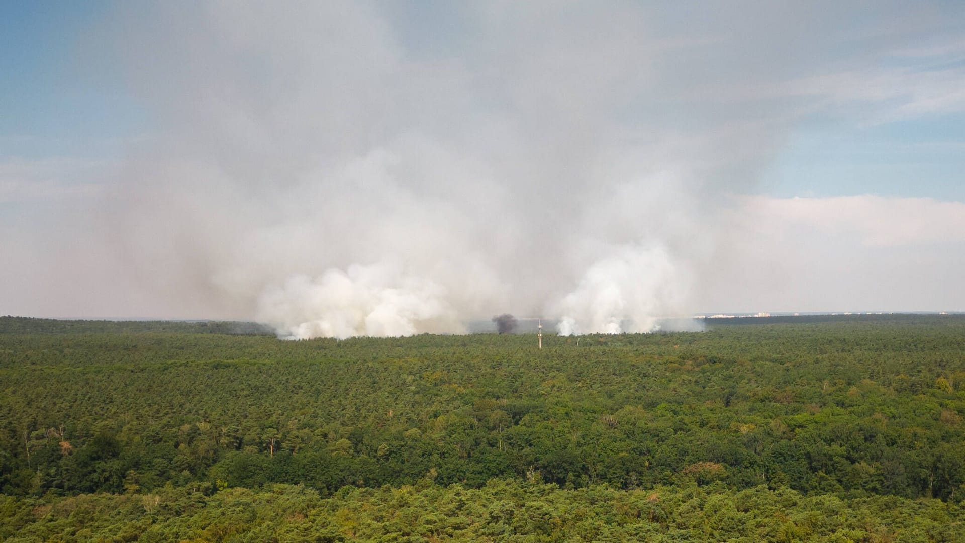 Luftaufnahme vom Waldbrand im Grunewald (Archivbild): Laut der Polizei gab es wohl keine Brandstiftung. Luftaufnahme vom Waldbrand im Grunewald (Archivbild): Laut der Polizei gab es wohl keine Brandstiftung.