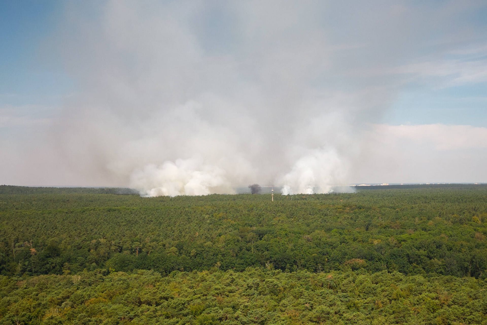 Luftaufnahme vom Waldbrand im Grunewald (Archivbild): Laut der Polizei gab es wohl keine Brandstiftung.