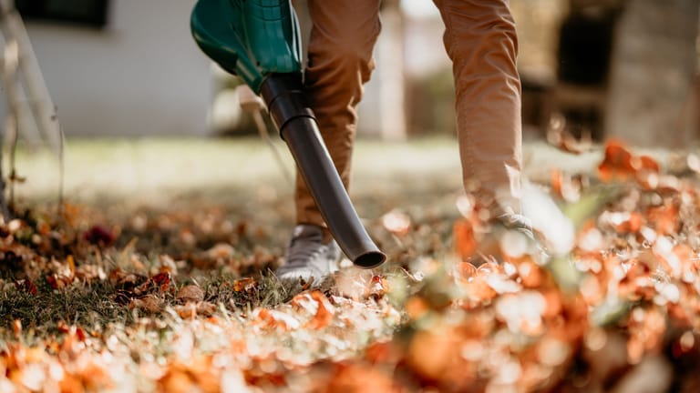 Für die Gartenarbeit im Herbst ist ein Laubbläser unverzichtbar.