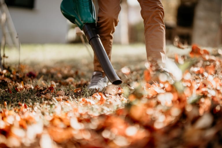 Für die Gartenarbeit im Herbst ist ein Laubbläser unverzichtbar.