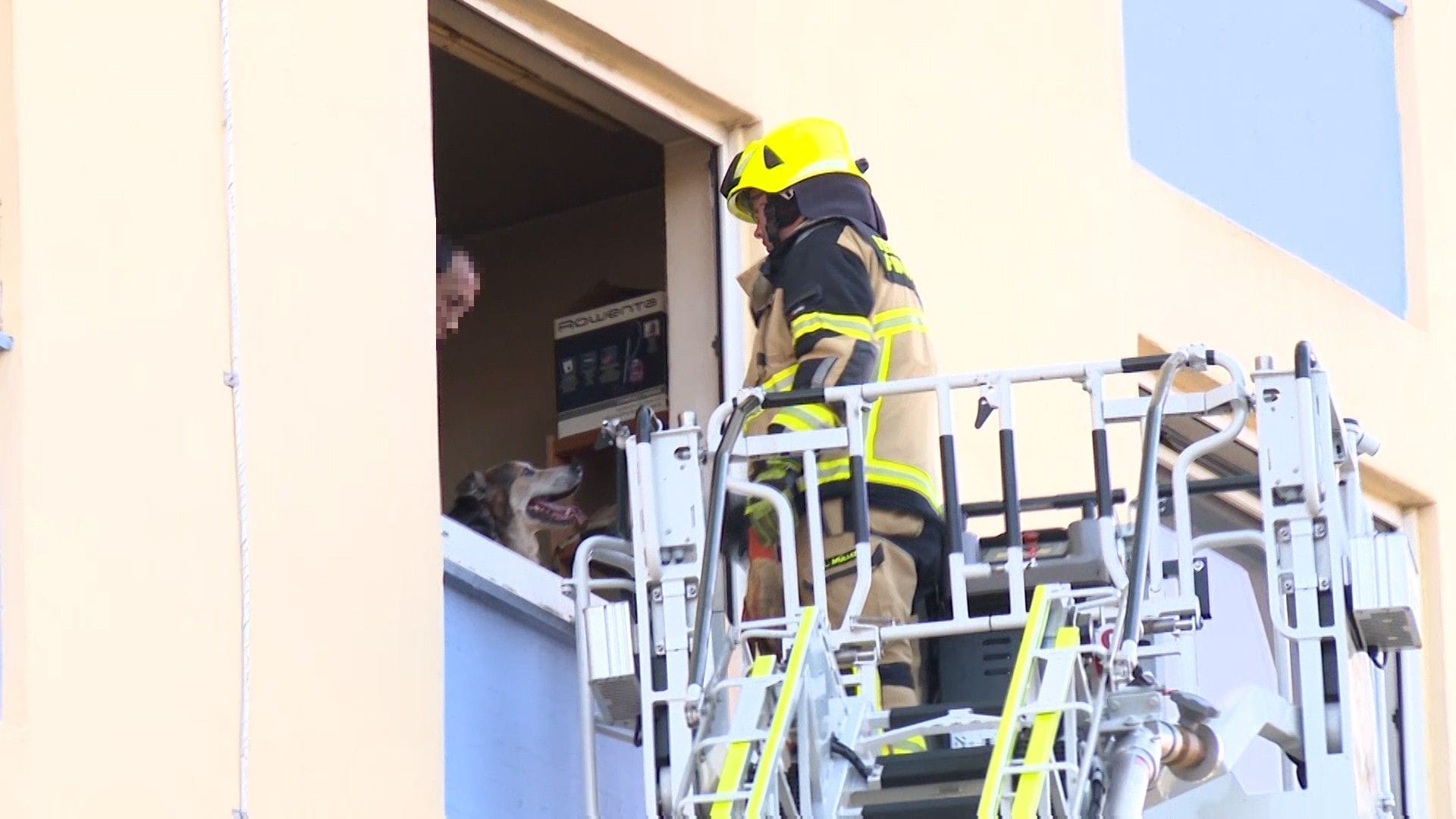 Hausbewohner, Hund und Feuerwehrmann: Der Bewohner weigerte sich zunächst, das Hochhaus zu verlassen. Hausbewohner, Hund und Feuerwehrmann: Der Bewohner weigerte sich zunächst, das Hochhaus zu verlassen.