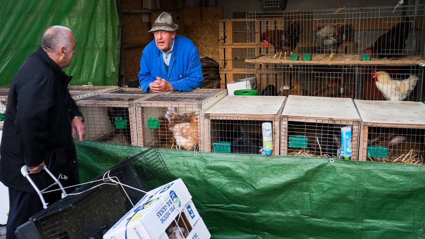 Ein Geflügelverkäufer auf dem Fischmarkt in Hamburg: Mit dem Verkauf lebender Tiere ist bald Schluss.