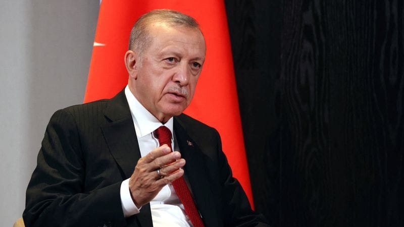 Recep Tayyip Erdoğan hat mit Wladimir Putin über die Scheinreferenden gesprochen.