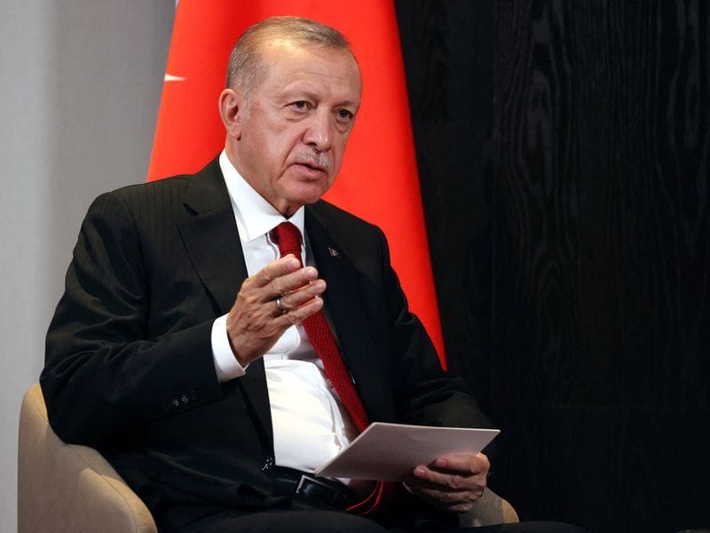 Recep Tayyip Erdoğan hat mit Wladimir Putin über die Scheinreferenden gesprochen.