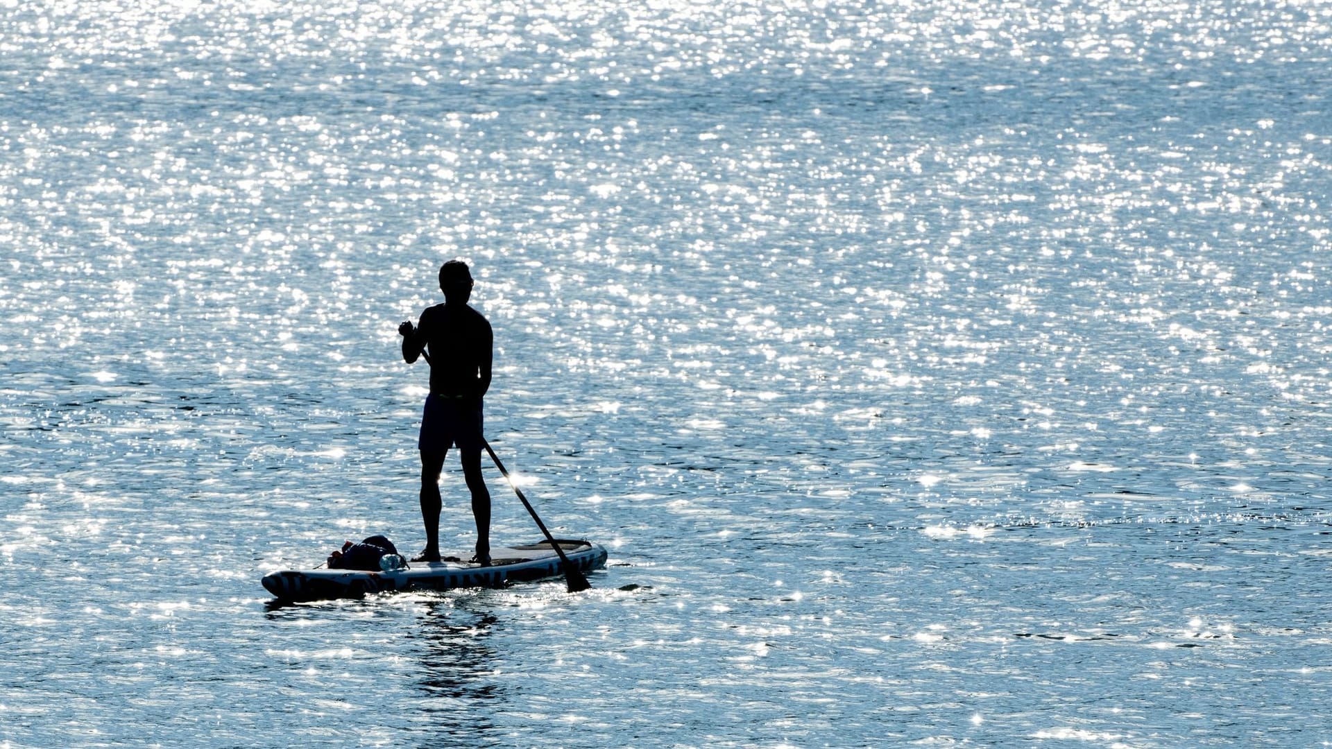 Stand-up-Paddler