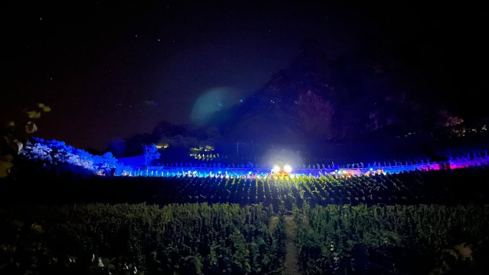 Blick vom Fuße des Weinberges: Dieses Foto veröffentlichte die Freiwillige Feuerwehr Bad Honnef.