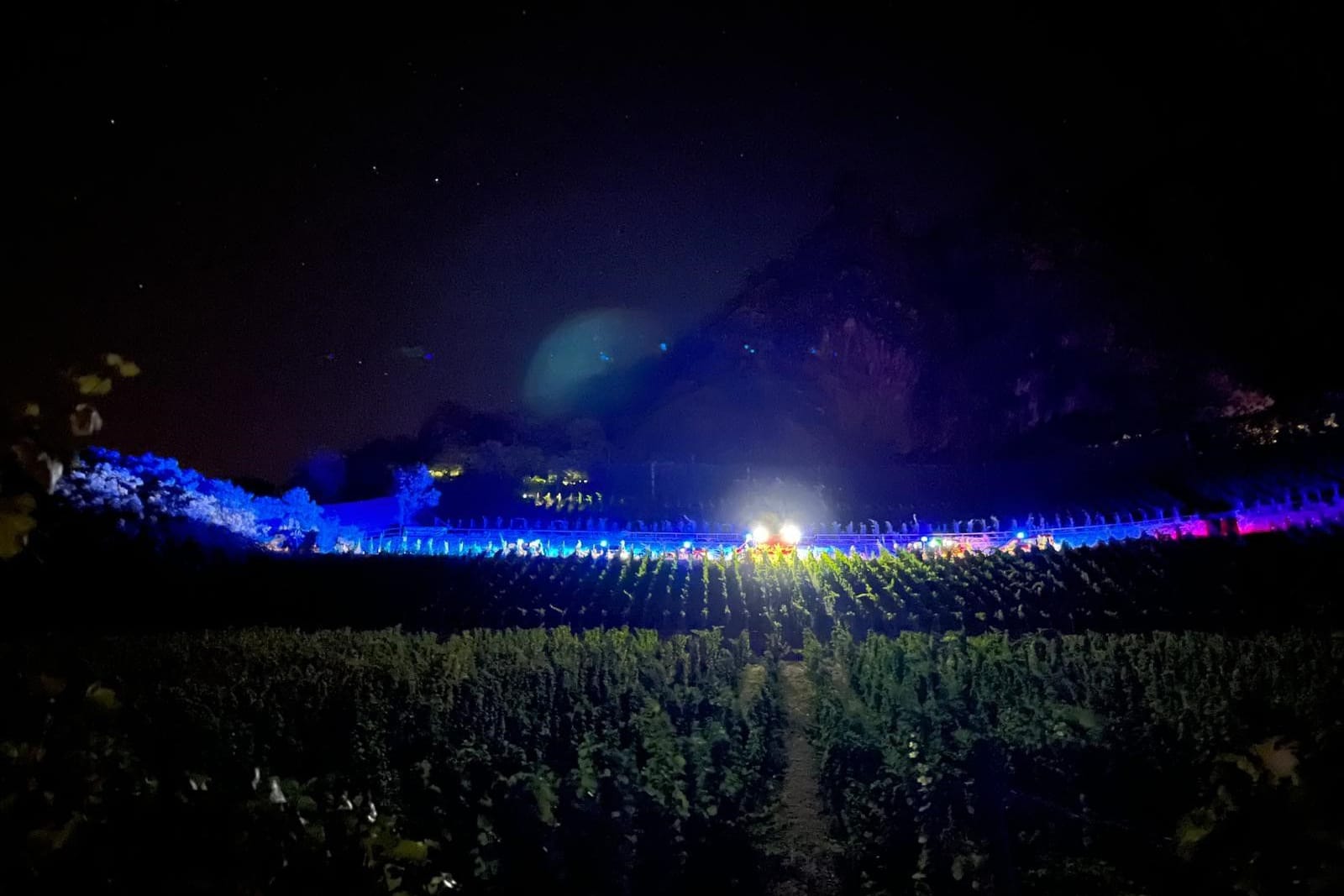 Blick vom Fuße des Weinberges: Dieses Foto veröffentlichte die Freiwillige Feuerwehr Bad Honnef.