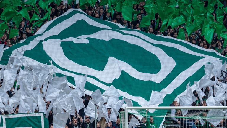 Woher kommt eigentlich der Begriff "Werder"? Eine Initiative will aufklären.