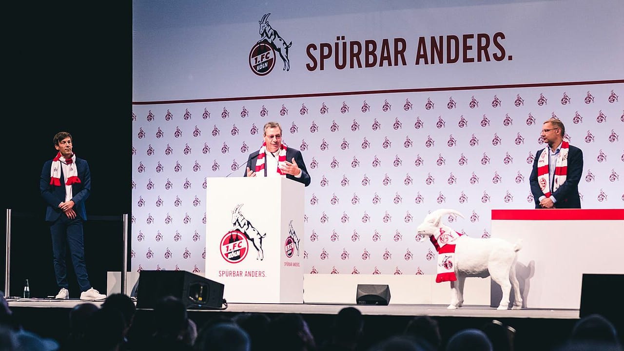 Mitgliederversammlung des 1. FC Köln (Archivbild): Sportliche Erfolge sollen zur schnellen finanziellen Erholung des Bundesligisten beitragen. Mitgliederversammlung des 1. FC Köln (Archivbild): Sportliche Erfolge sollen zur schnellen finanziellen Erholung des Bundesligisten beitragen.