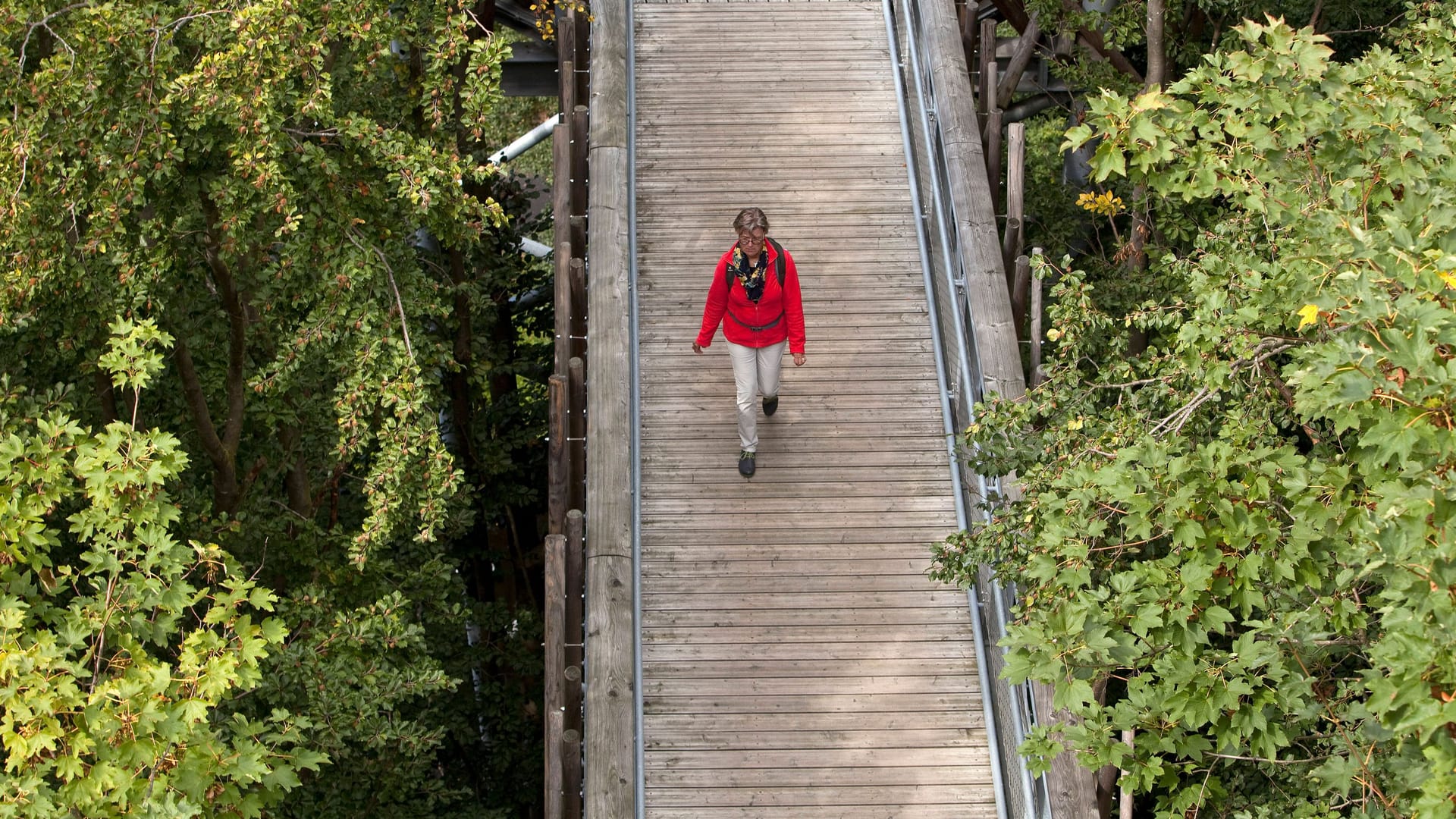 Über den Bäumen: Bei einer Wanderung auf dem Baumwipfelpfad bei Bad Iburg können Besucher ihre Blicke über den Teutoburger Wald schweifen lassen.