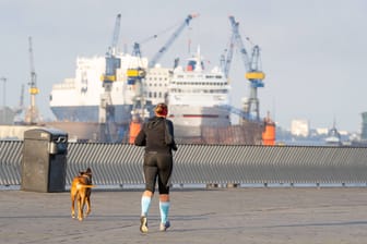 Mit Hund unterwegs in Hamburg: Die Großstadt gilt als besonders hundefreundlich.