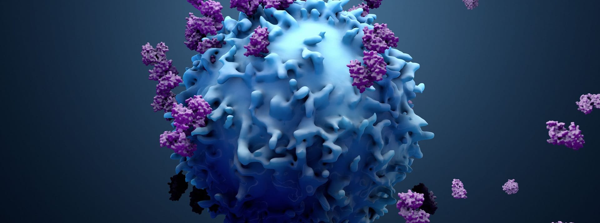 T-Zellen bekämpfen spezifische Antigene und gehören damit zum erworbenen Immunsystem.