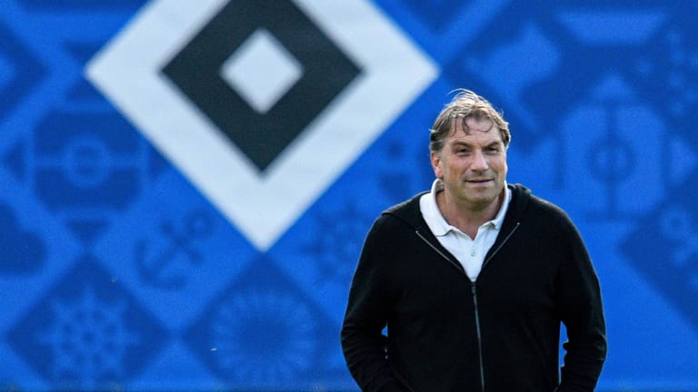 Ex-Finanzvorstand Thomas Wüstefeld: Seine Zeit beim Hamburger SV ist vorbei.