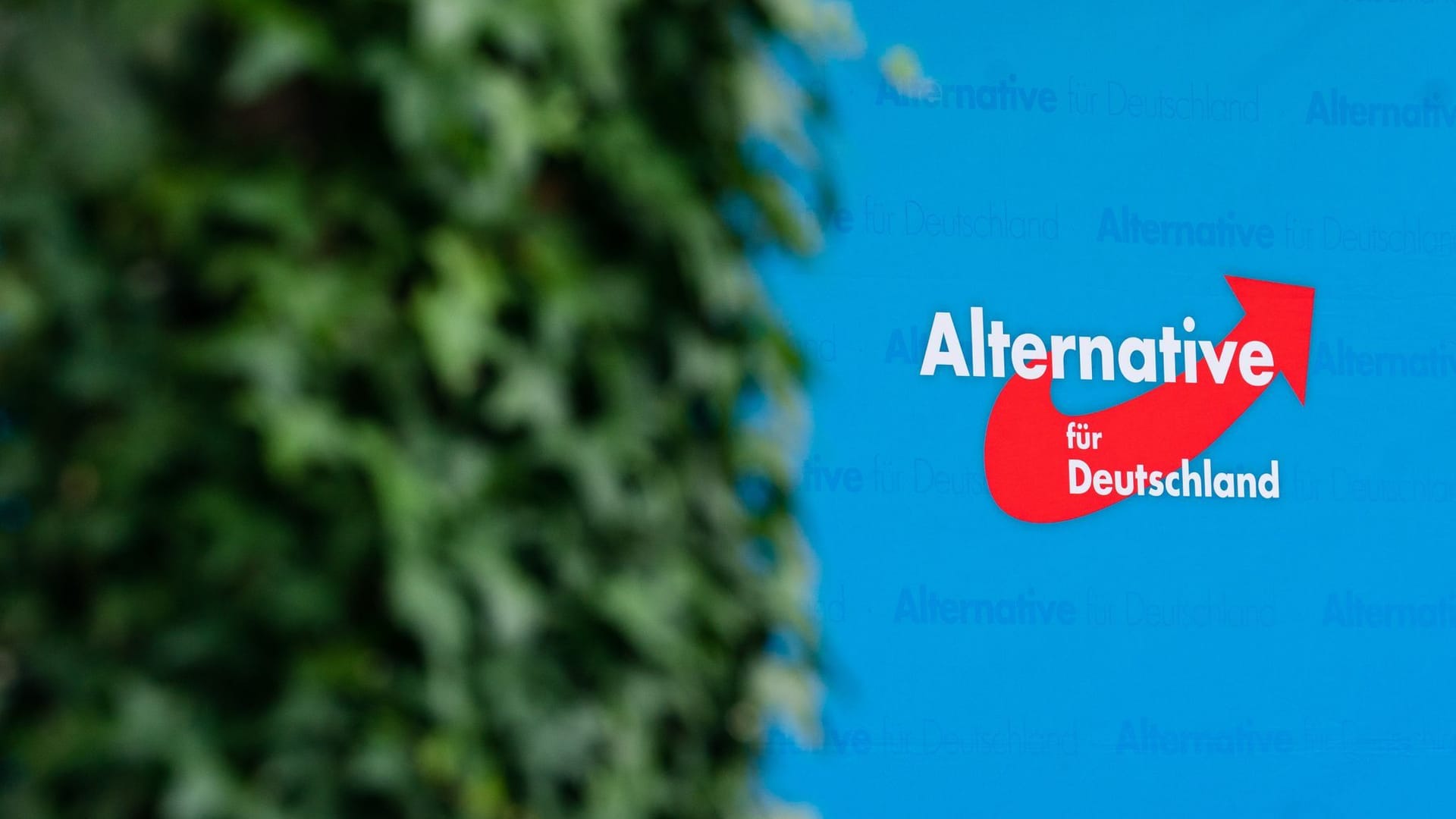 AfD Bayern