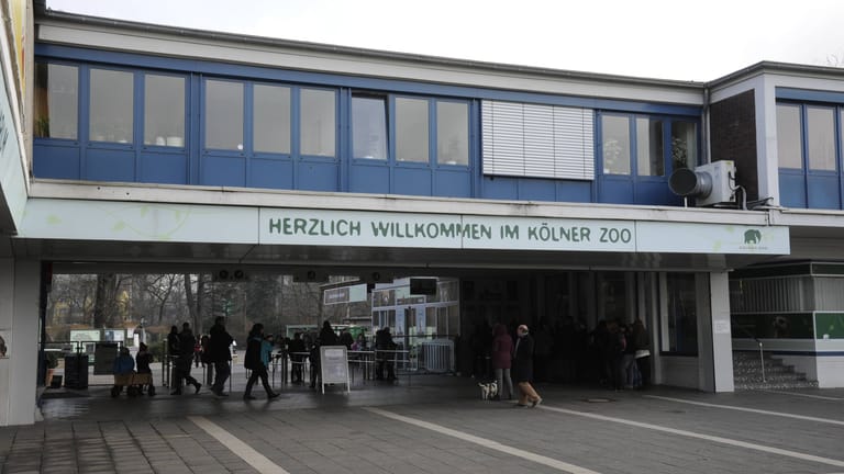 Der Eingang zum Kölner Zoo (Archivbild): Kassen und Tore konnten wegen des Stromausfalles nicht betätigt werden.