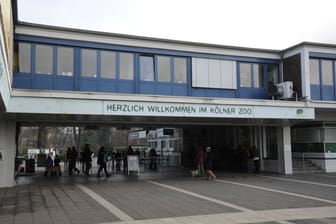 Der Eingang zum Kölner Zoo (Archivbild): Kassen und Tore konnten wegen des Stromausfalles nicht betätigt werden.