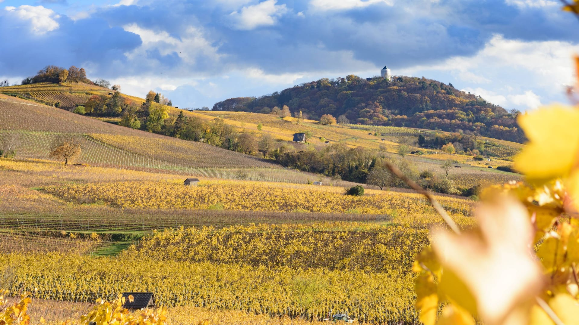 Hessische Bergstraße mit Blick auf das Schloss Starkenburg: Die Weinanbauregion ist die kleinste in Deutschland.