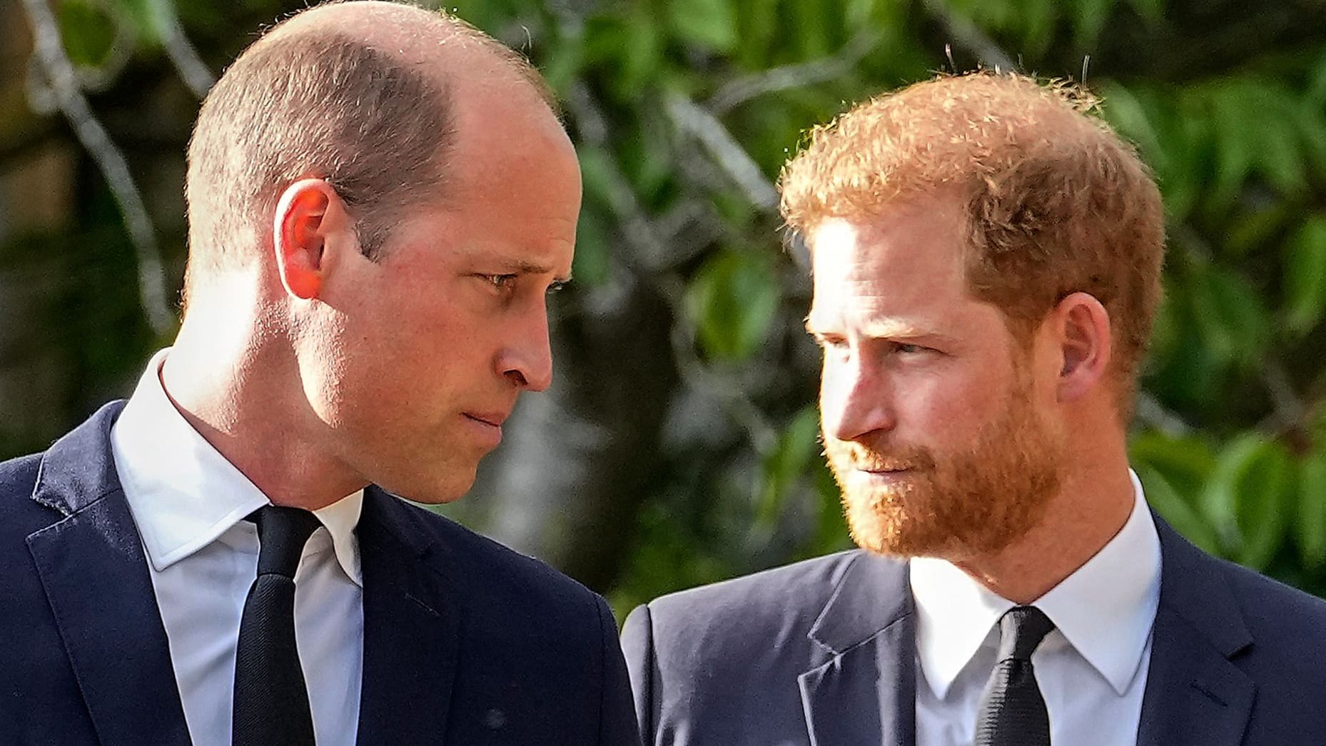 William und Harry: Die Brüder werden aus gutem Grund voneinander getrennt.