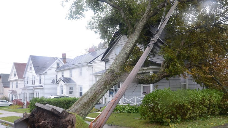 Ein umgestürzter Baum in Sydney, Kanada: Der Wirbelsturm "Fiona" hat große Schäden angerichtet.