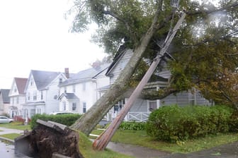 Ein umgestürzter Baum in Sydney, Kanada: Der Wirbelsturm "Fiona" hat große Schäden angerichtet.