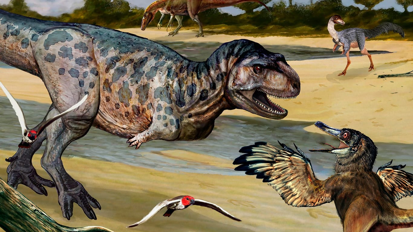 So könnte der Dinosaurier ausgesehen haben: Der Fleischfresser war etwa vier Meter lang und knapp zwei Meter hoch.