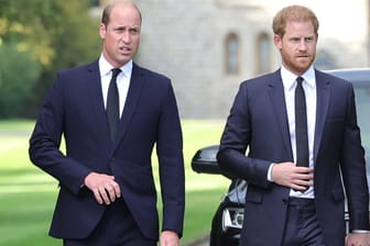 Prinz William und Prinz Harry: Nähern sich die Brüder wieder an?