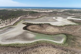 Feuchtgebiet Coto de Doñana ausgetrocknet