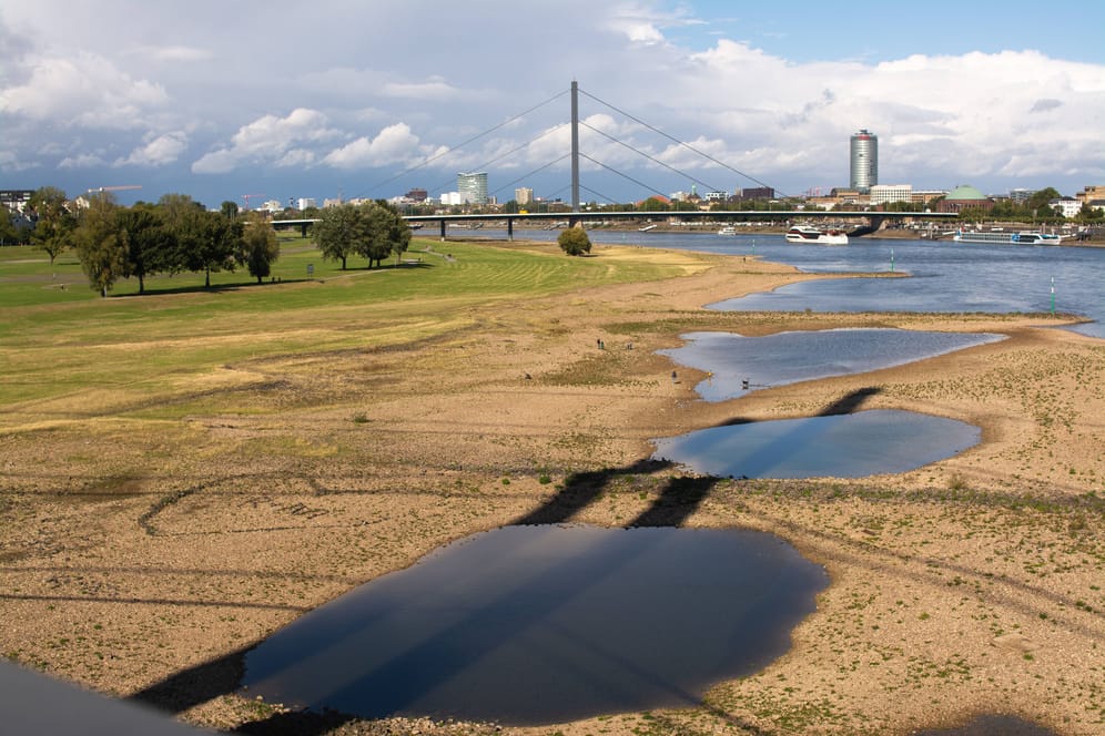 Im September lag der Rhein bei Düsseldorf wegen anhaltender Trockenheit stellenweise fast trocken: Nach neuesten UN-Berechnungen steuert die Erderhitzung auf 2,5 Grad Celsius zu.