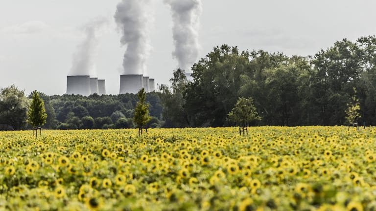 Das Kohlekraftwerk Jaenschwalde ist zurück am Netz. Doch der Anstieg der CO2-Emissionen in diesem Jahr wird voraussichtlich nicht so stark sein, wie wegen der Energiekrise befürchtet.