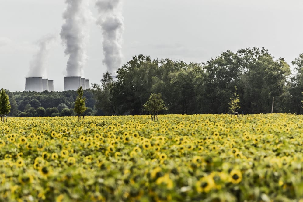 Das Kohlekraftwerk Jaenschwalde ist zurück am Netz. Doch der Anstieg der CO2-Emissionen in diesem Jahr wird voraussichtlich nicht so stark sein, wie wegen der Energiekrise befürchtet.