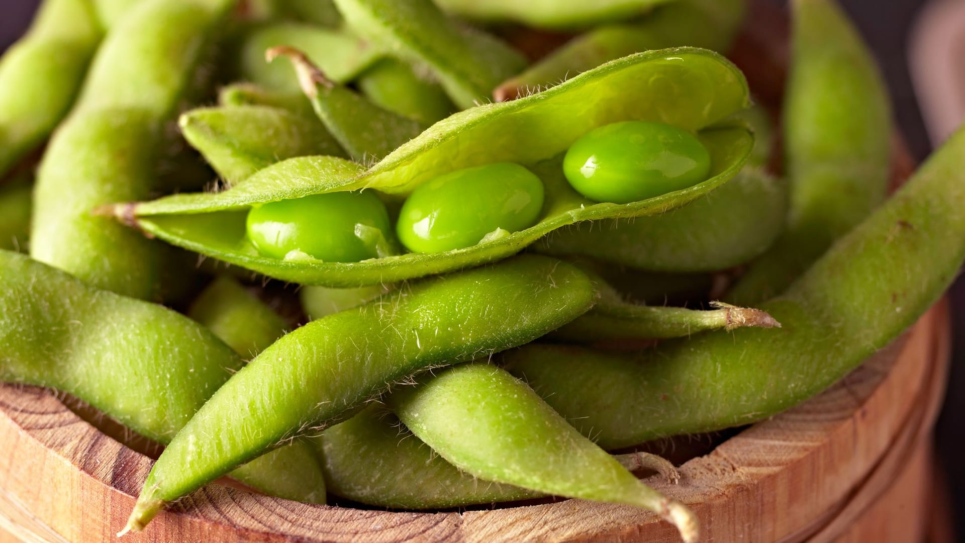 Edamame: Der japanische Begriff bedeutet "Bohnen am Zweig".