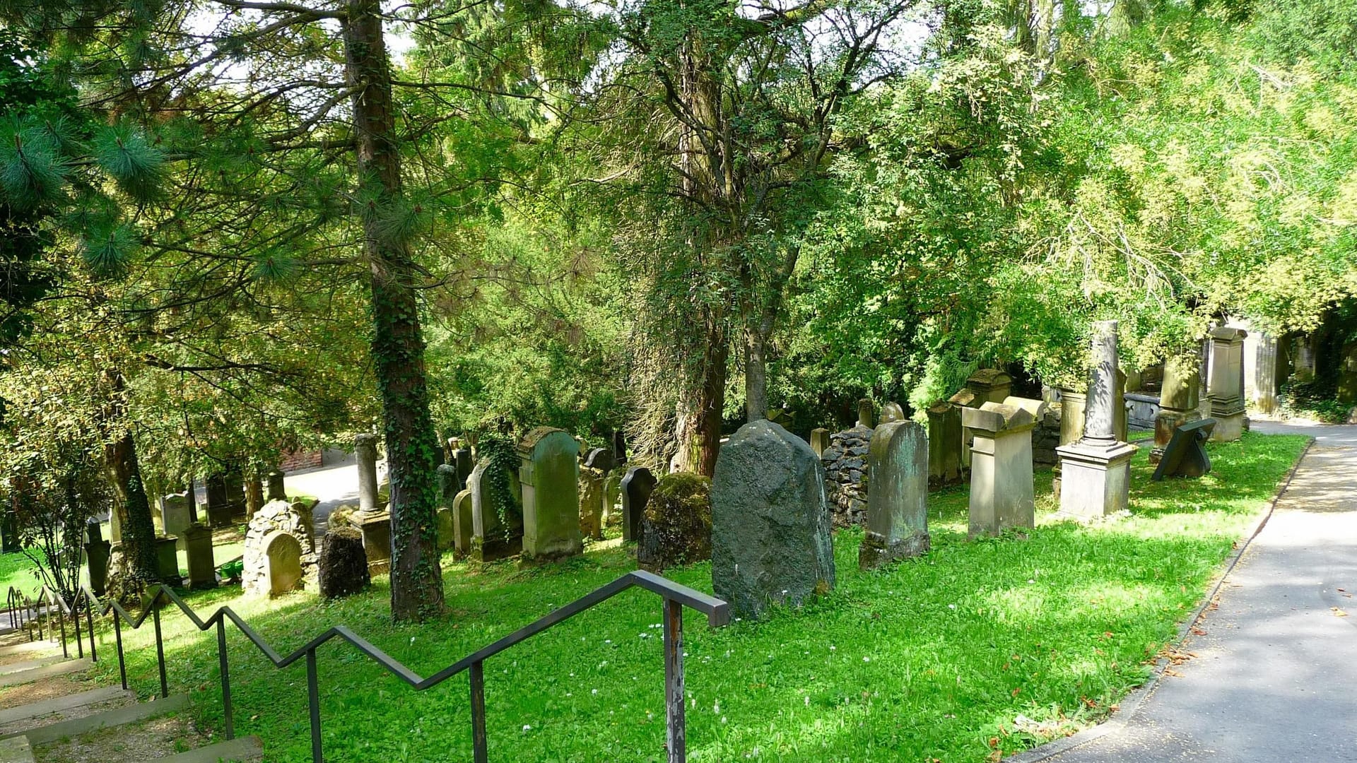 Hoch hinaus: Wo einst Weinreben wuchsen, erstreckt sich heute ein 20 km langes Wegenetz auf dem Bergfriedhof in Heidelberg.