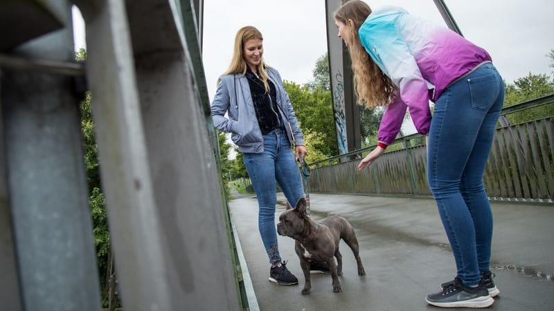 Ausreden gestattet: Wenn einem nicht passt, dass Fremde den eigenen Hund streicheln, sind schon mal Notlügen erlaubt.