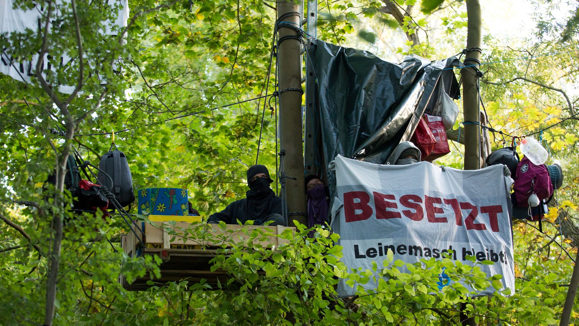 Am Mittwoch haben Aktivisten Bäume in Hannovers südlicher Leinemasch besetzt, um das Fällen von 13 Hektar Wald zu verhindern.