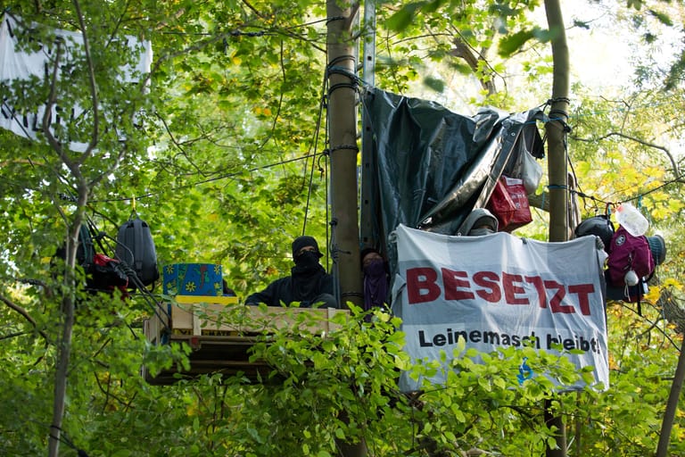 Am Mittwoch haben Aktivisten Bäume in Hannovers südlicher Leinemasch besetzt, um das Fällen von 13 Hektar Wald zu verhindern.