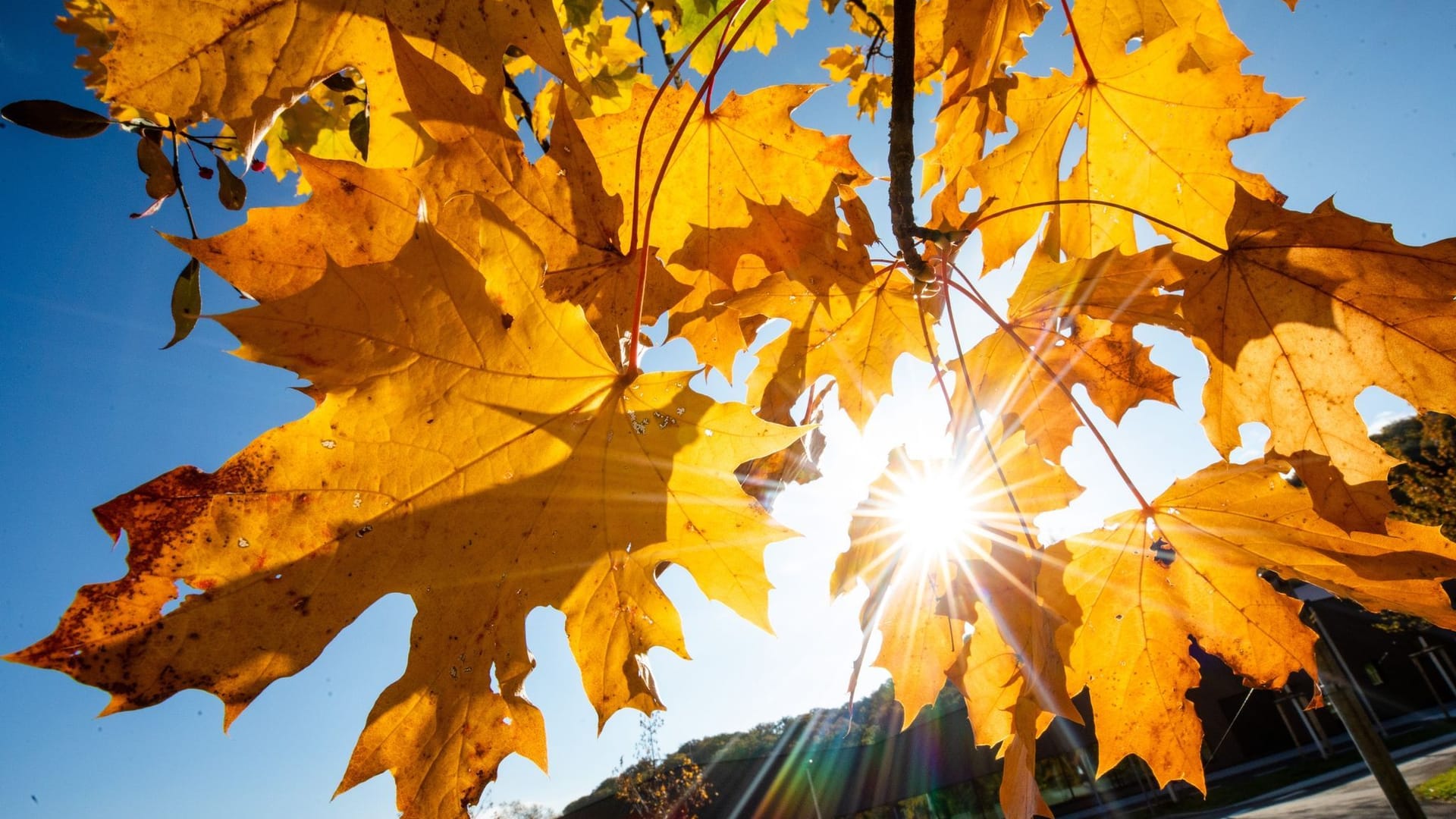 Sonne in Stuttgart