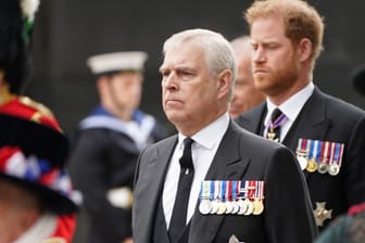 Prinz Andrew und Prinz Harry: Beide Royals stehen im Palast nicht in erster Reihe.