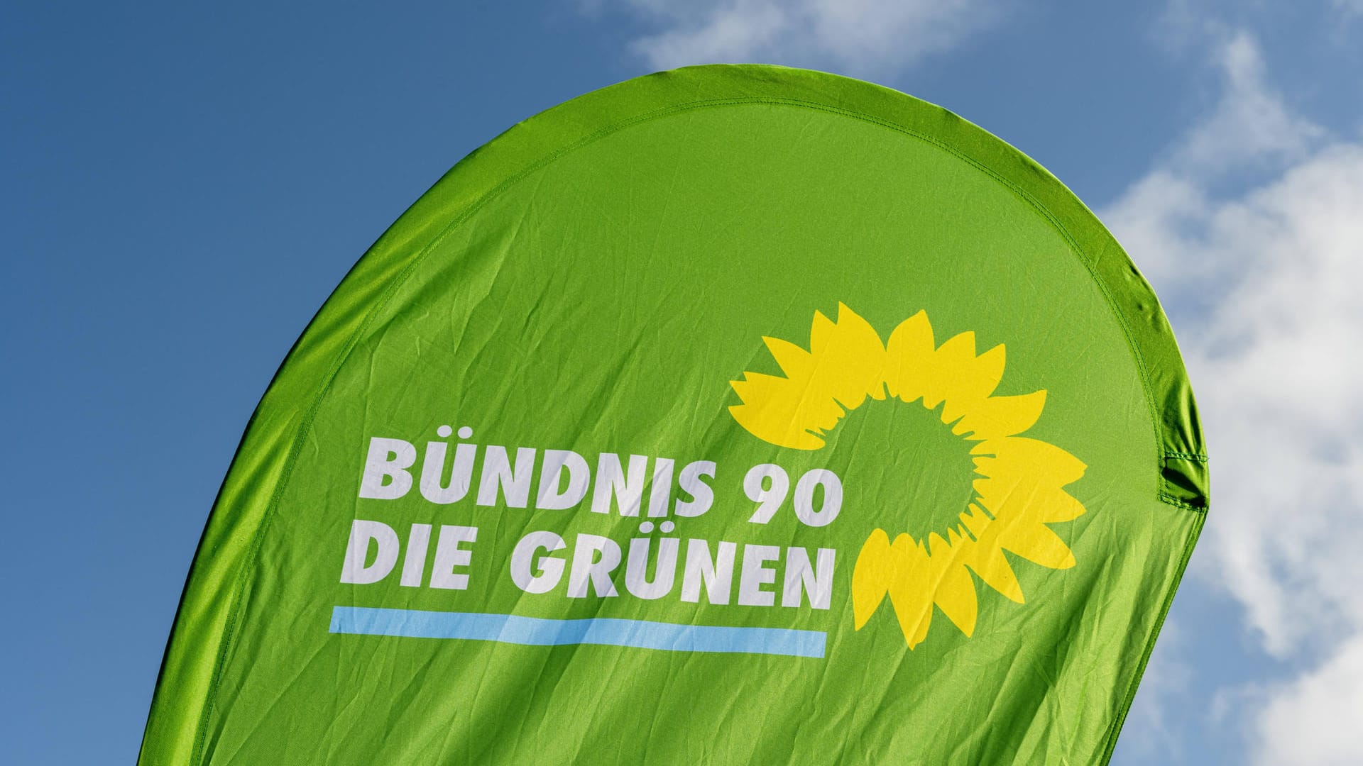 Die unvermeidliche grüne Sonnenblume.