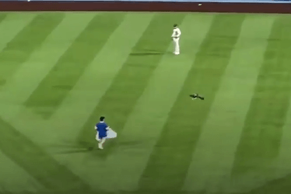 Ein Baseballspiel der Los Angeles Dodgers wurde letzten Mittwoch von einem tierischen Flitzer unterbrochen.