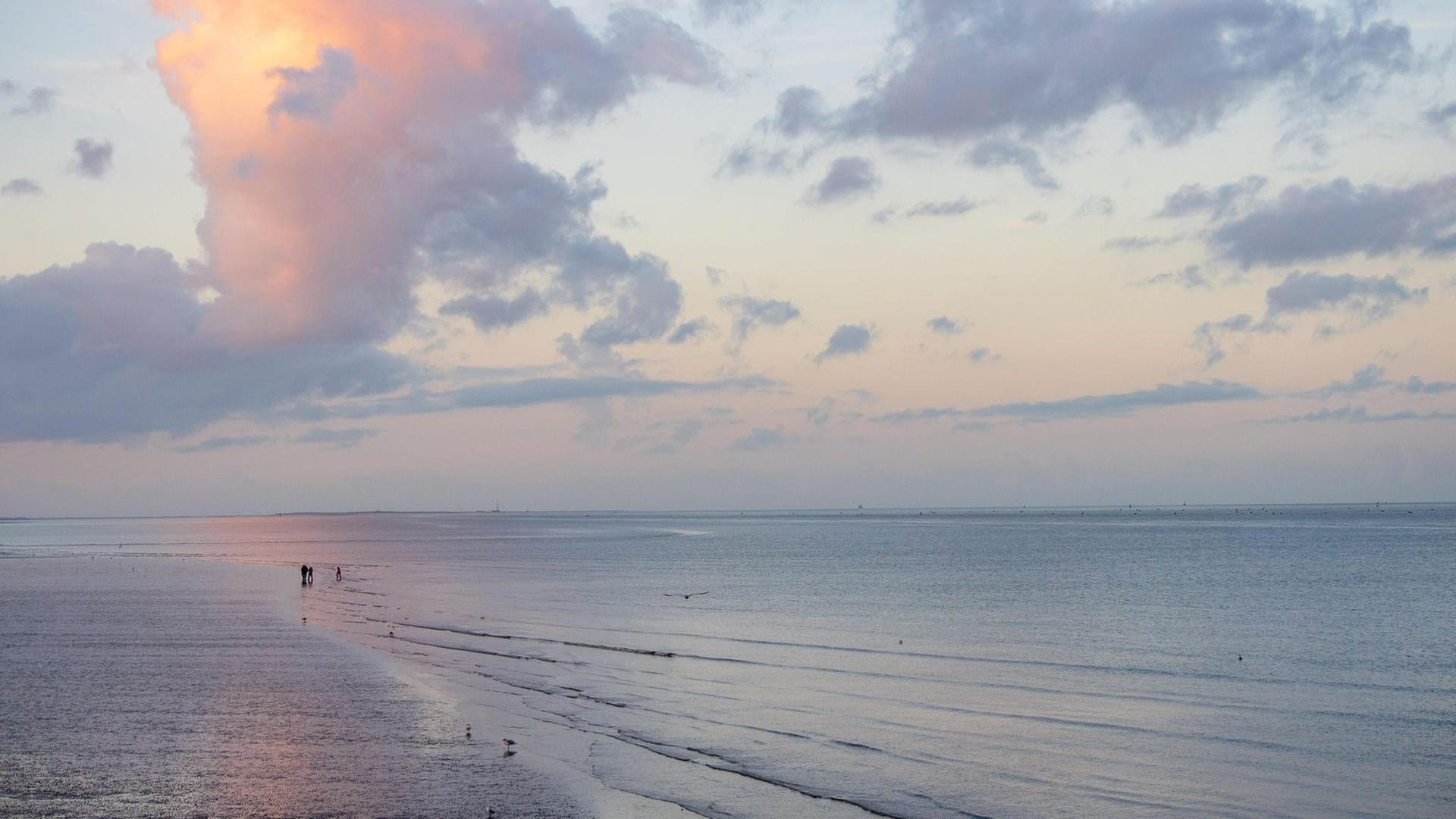 Ein herbstlicher Tag im Watt der Nordsee (Symbolbild): Wo ist bitte das Wasser hin?