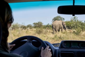 Tourist im Kruger-Nationalpark: Dort ist es zu einem Überfall gekommen.