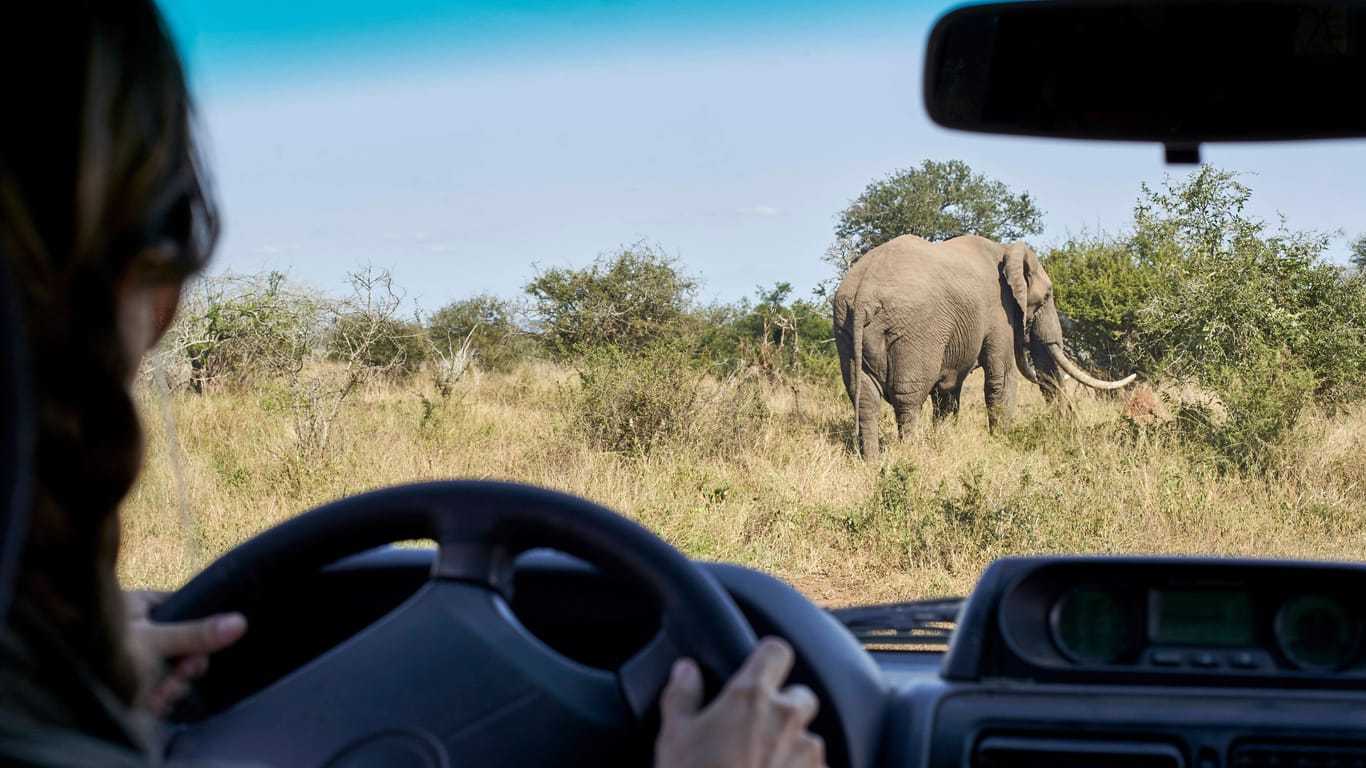 Tourist im Kruger-Nationalpark: Dort ist es zu einem Überfall gekommen.