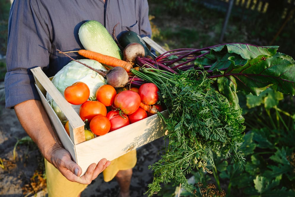 Die richtige Wahl treffen: Pflanzliche Produkte verursachen in der Regel geringere Emissionen als Fleisch.