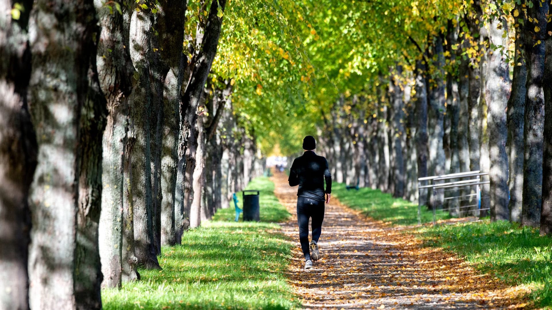 Ein Jogger in Bewegung: Es ist nicht immer leicht, sich zum Sport zu motivieren.