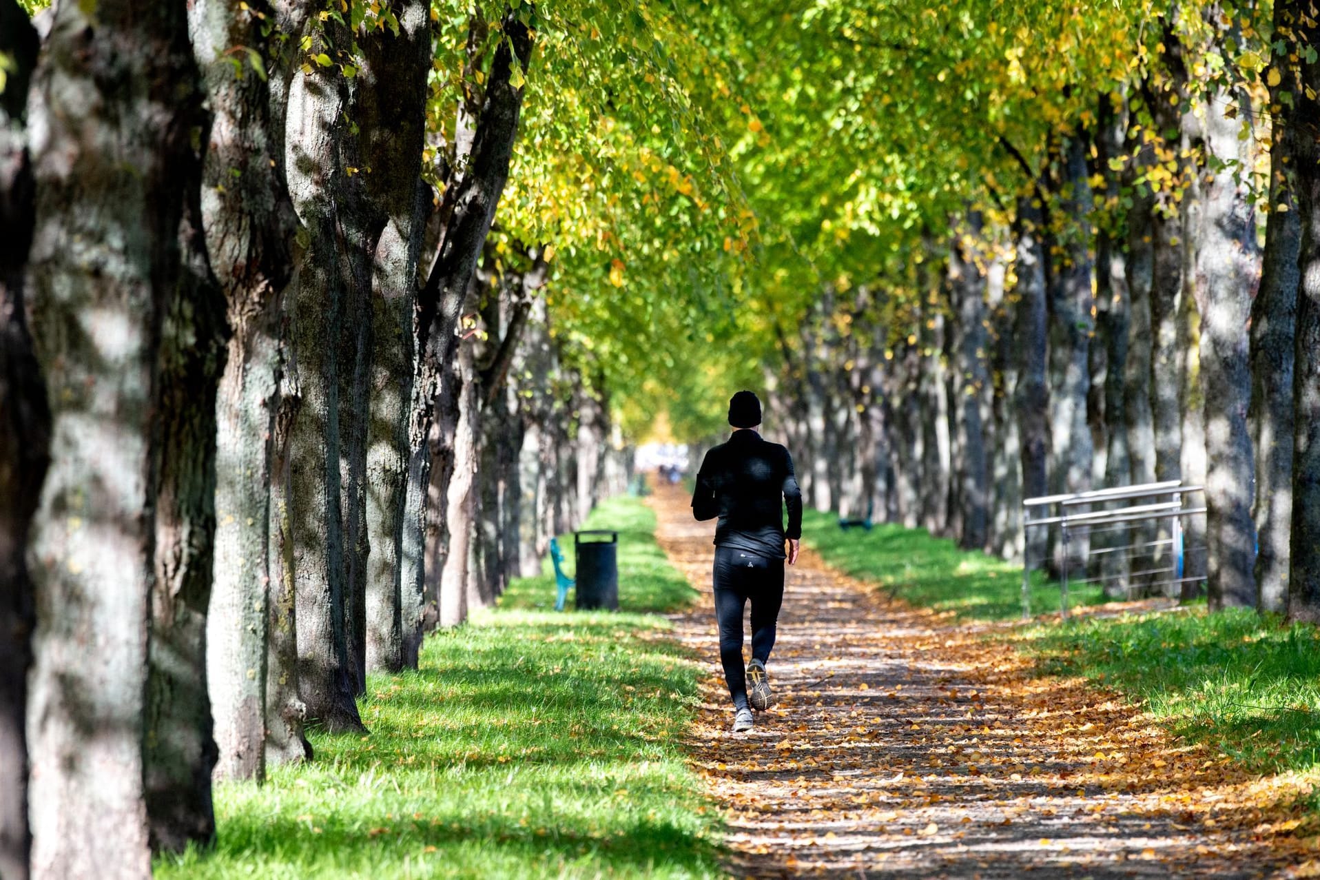 Ein Jogger in Bewegung: Es ist nicht immer leicht, sich zum Sport zu motivieren.